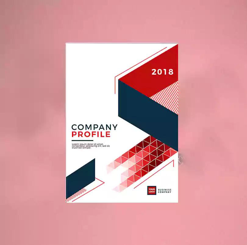 company profile